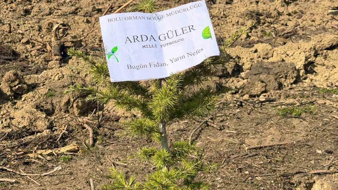 Arda Güler adına fidan dikildi — Bolu'da 11 Kasım etkinliği