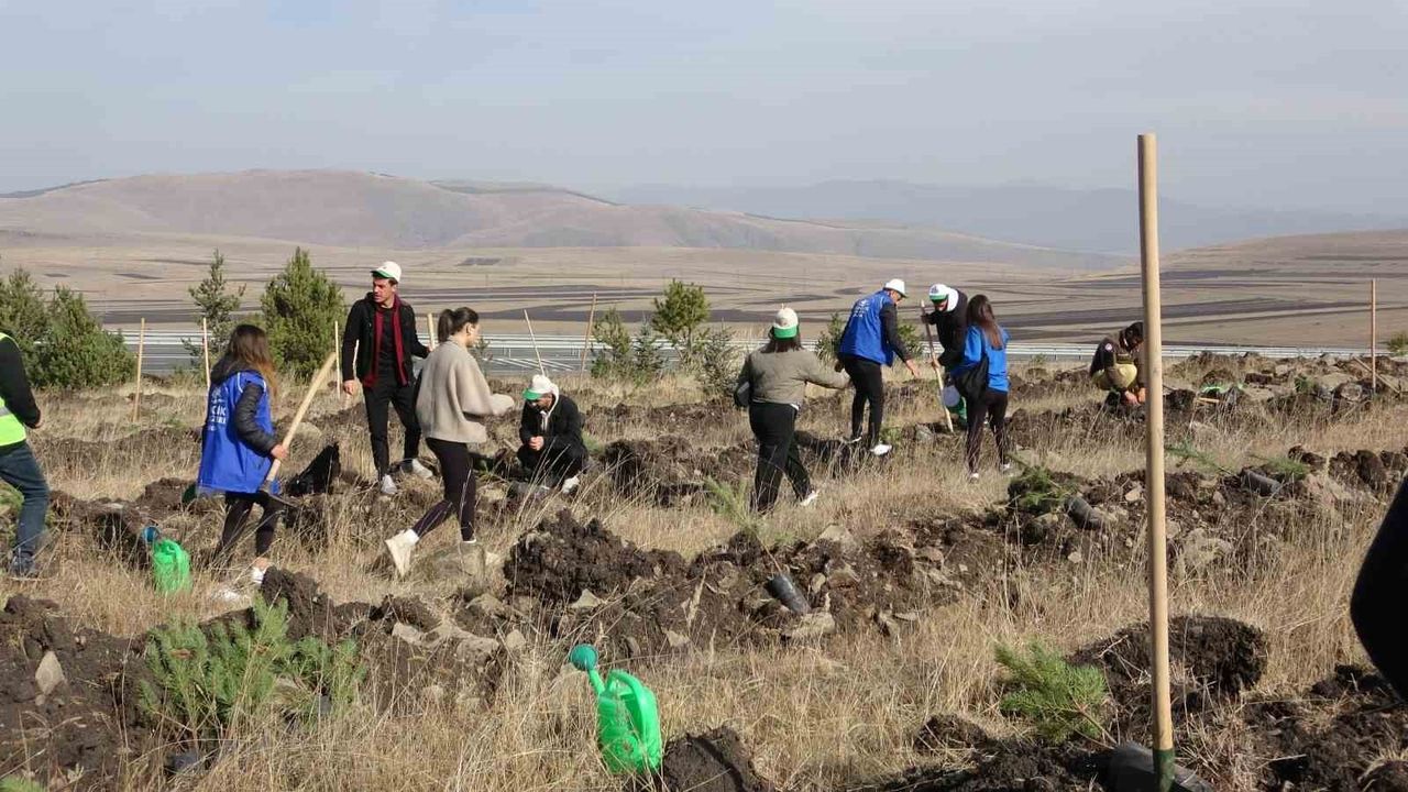Ardahan'da Milli Ağaçlandırma Günü'nde fidan dikimi