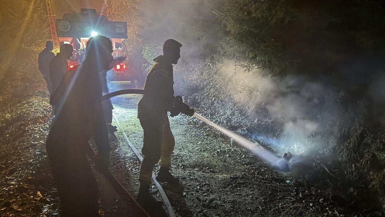 Artvin'de ziraat yangını kısa sürede söndürüldü