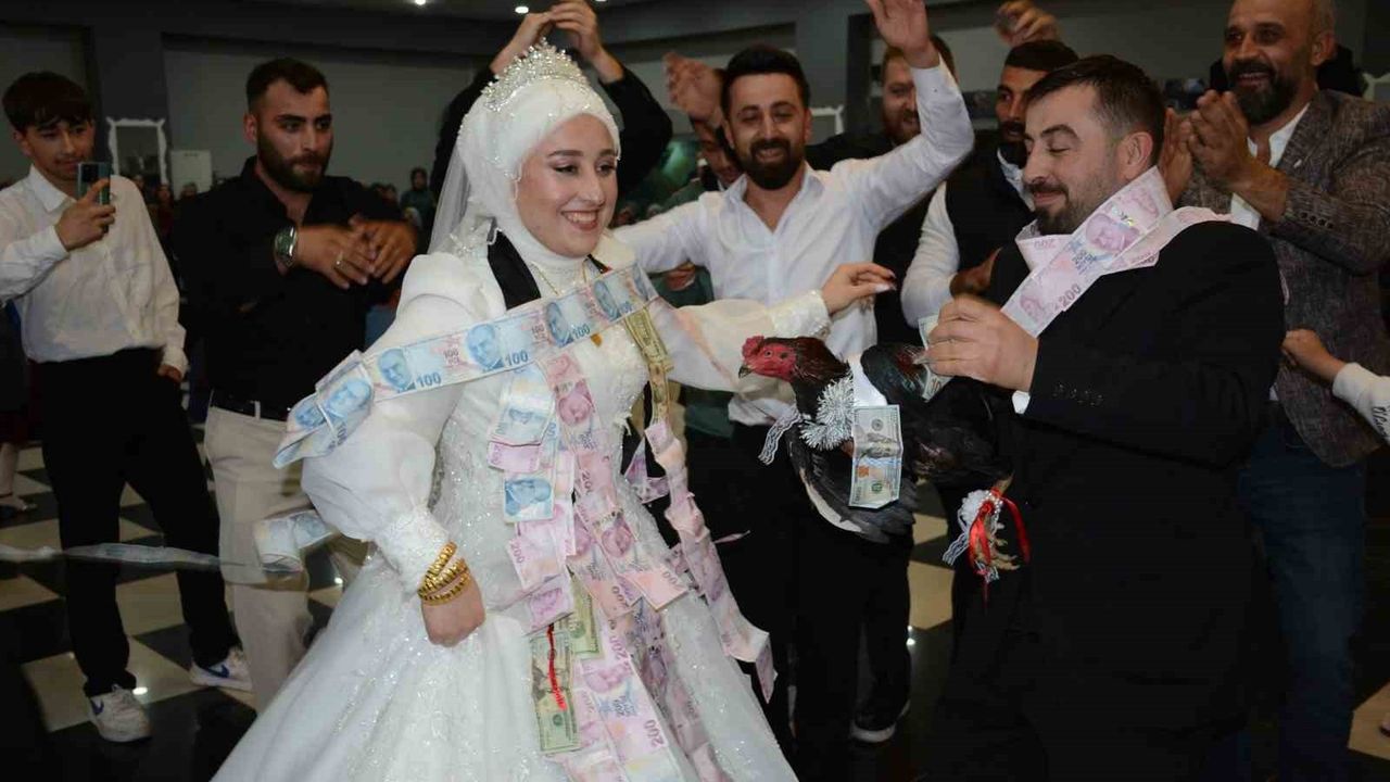 Artvin düğününde Tayland'dan gelen canlı tavuk ve horoz sürprizi