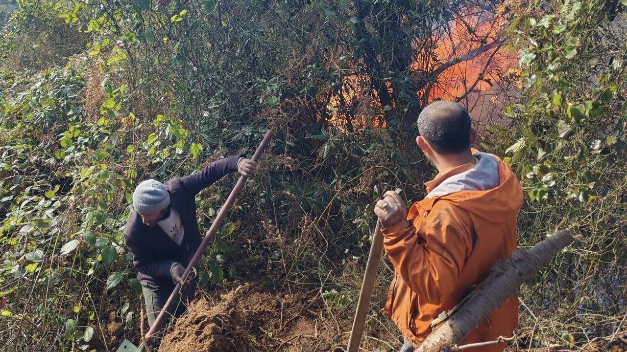 Artvin Hopa'da orman yangını — 5 hektar zarar gördü