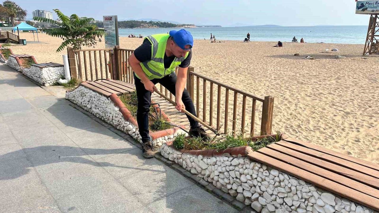 Aydın 350 bin mevsimlik çiçekle renklendiriliyor