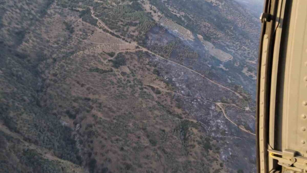 Aydın Bozdoğan'da yangın büyük ölçüde kontrol altına alındı