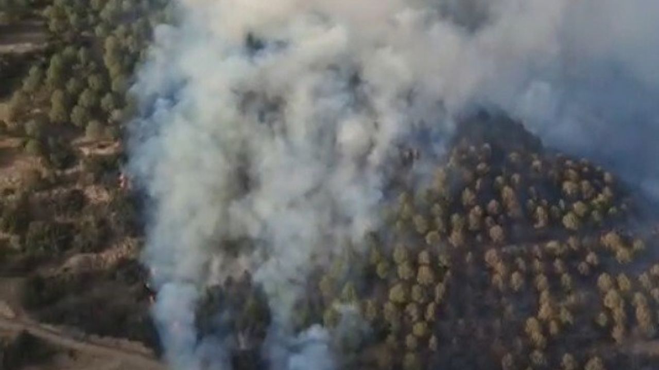 Aydın Bozdoğan'da ziraat yangını ormana sıçradı — hava ve kara müdahale sürüyor