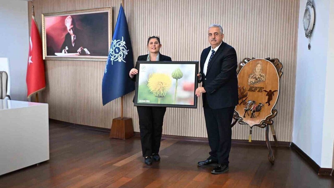 Aydın'da 217 milyon Türk Lirası ile sokak hayvanlarına doğal yaşam alanı