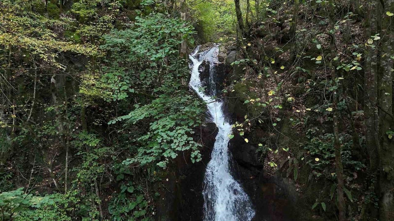 Aydınpınar Şelalesi: Düzce'nin Saklı Cenneti