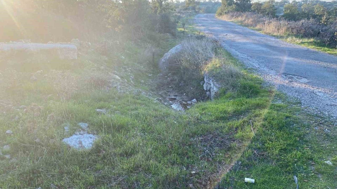 Ayvacık'ta boş arazide bulunan bebek cesediyle ilgili 1 kişi tutuklandı
