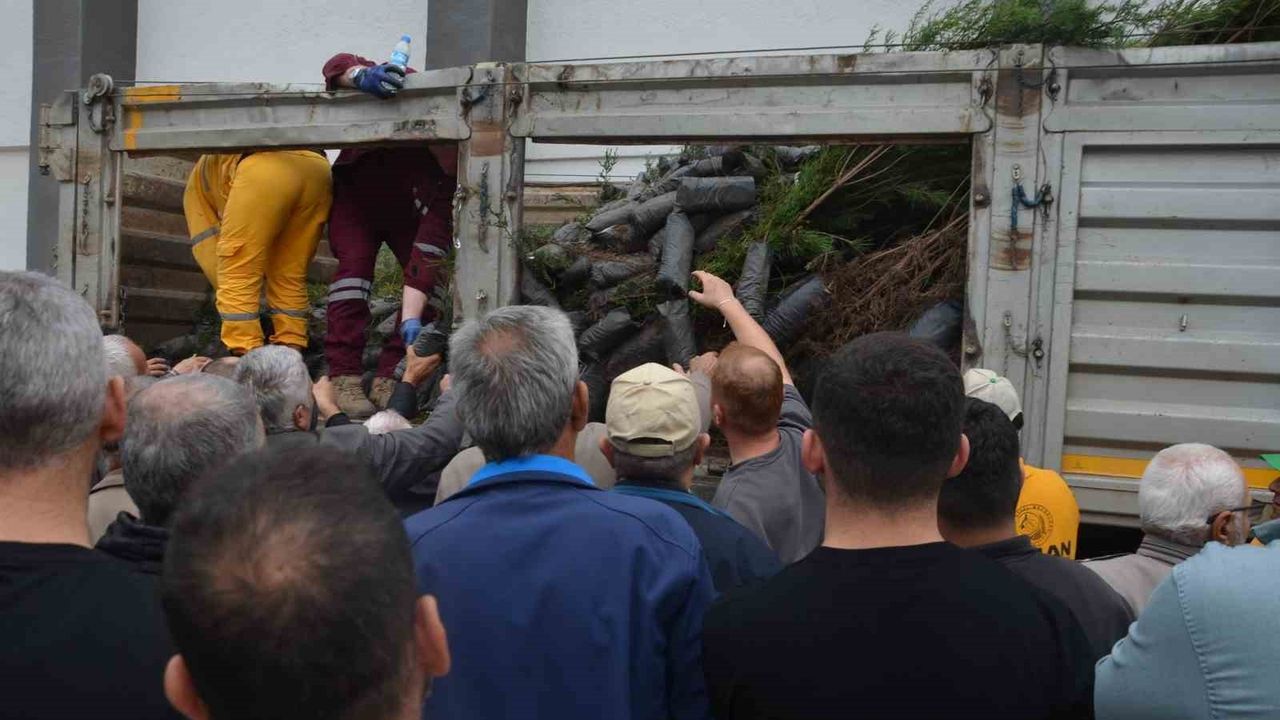 Bafra’da 11 Kasım’da 3 Bin Fidan Dağıtımı