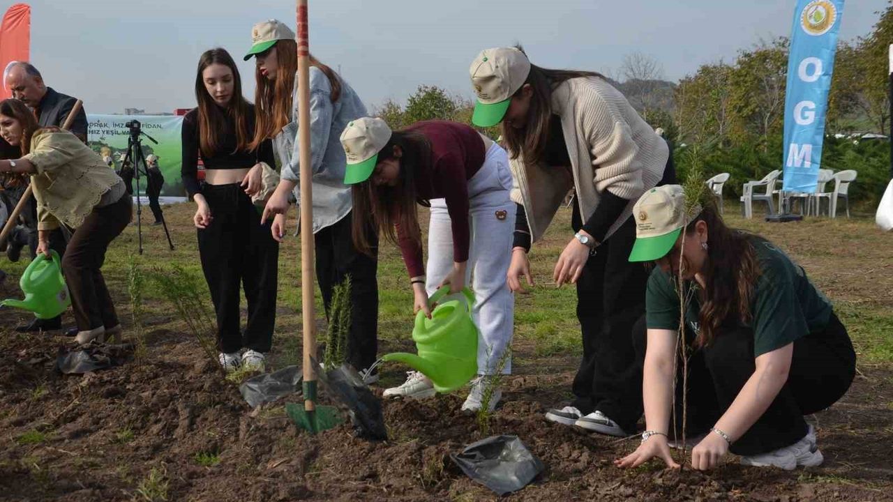 Bafra'da 8 bin fidanla geniş çaplı ağaçlandırma etkinliği