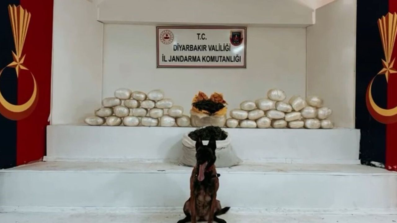 Bakan Yerlikaya: Diyarbakır’da 555 kilogram uyuşturucu ele geçirildi