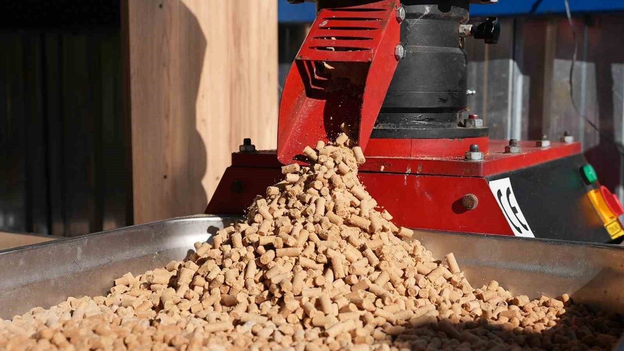 Balıkesir Büyükşehir Belediyesi, Can Dostlar İçin Mama Üretiyor