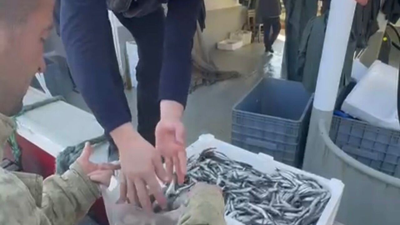 Bandırma'da Hamsi Krizi: Balıkçılardan Ücretsiz Dağıtımla Protesto