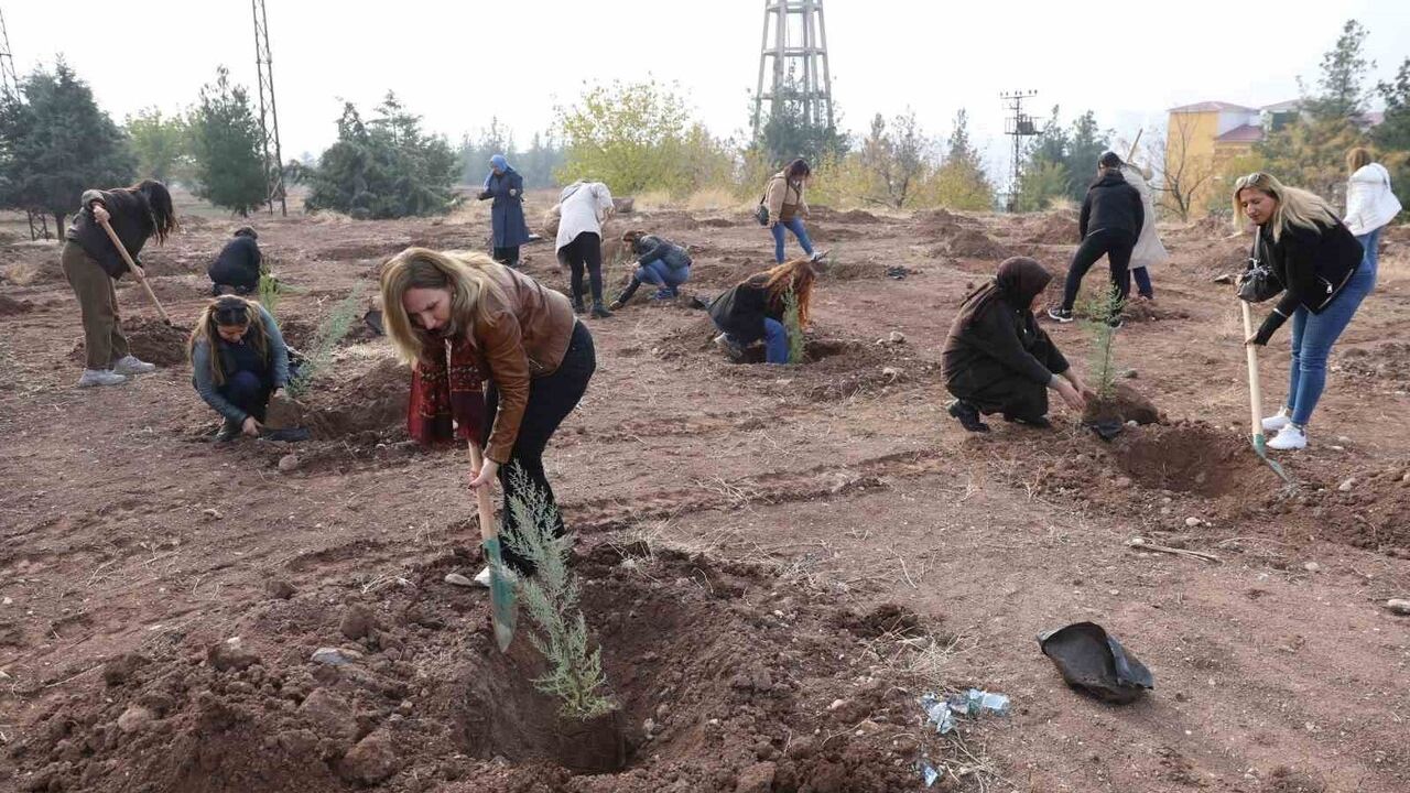 Barış Ormanında Kadınlar İçin Fidan Dikimi — 25 Kasım