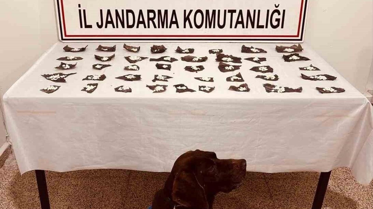 Başkale'de 460 kapsülde 171 gram bonzai ele geçirildi
