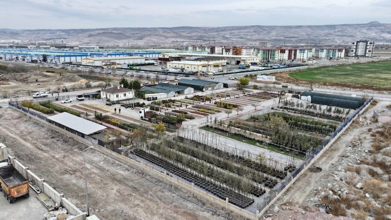 Başkan Çolakbayrakdar: Kocasinan’ı yeşilin başkenti yapacağız