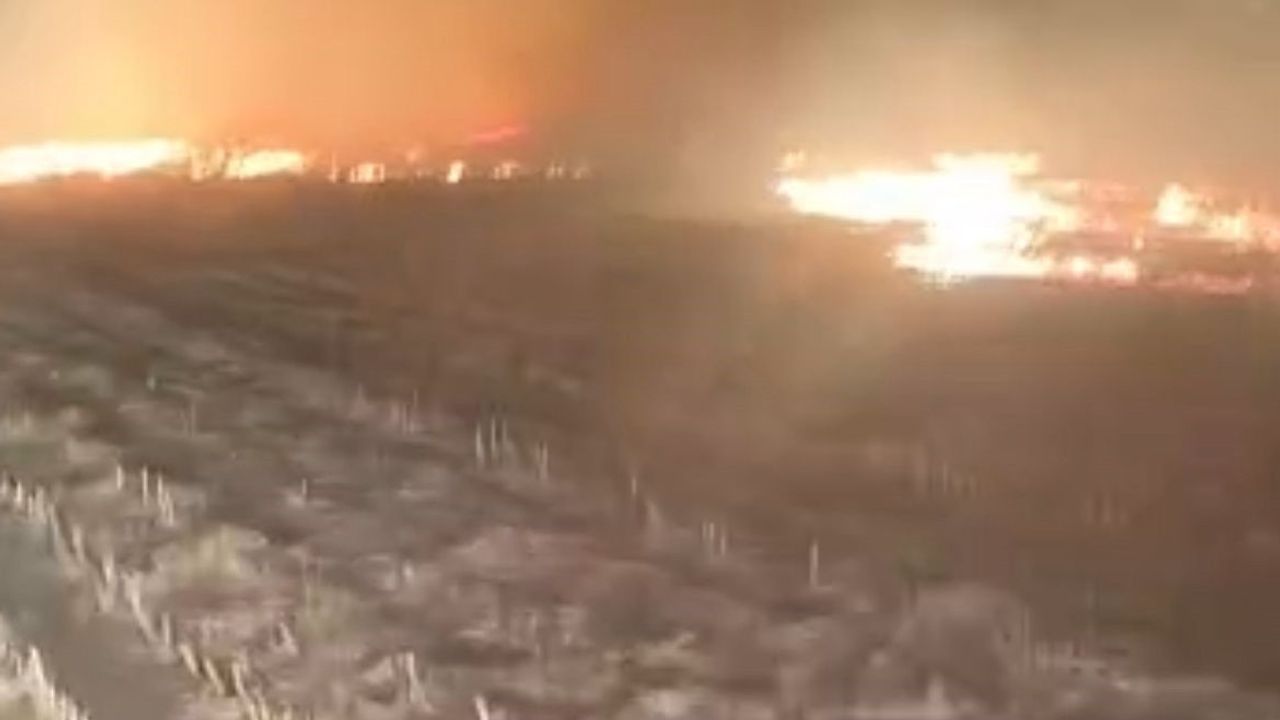 Batman'da fırtına nedeniyle tandır kıvılcımları mısır tarlasını kül etti