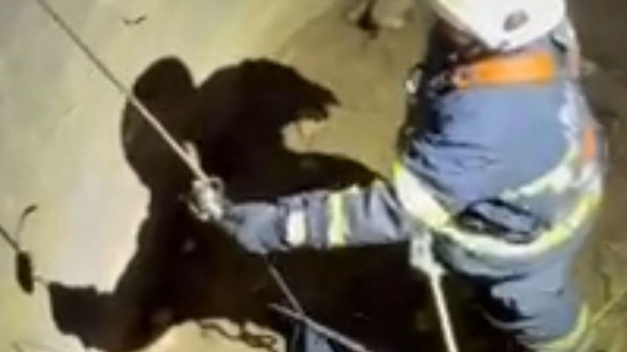 Batman'da su kuyusuna düşen çakal itfaiye ekiplerince kurtarıldı