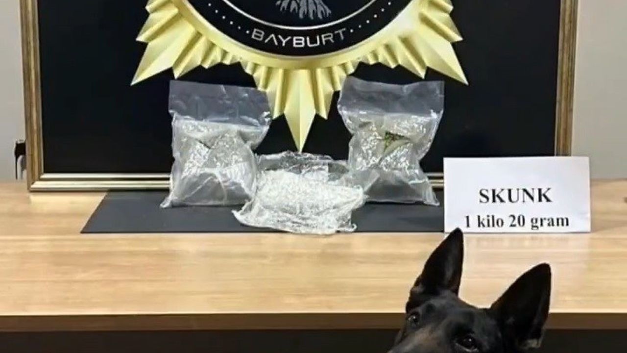 Bayburt’ta otobüste 1 kilo 20 gram skunk ele geçirildi