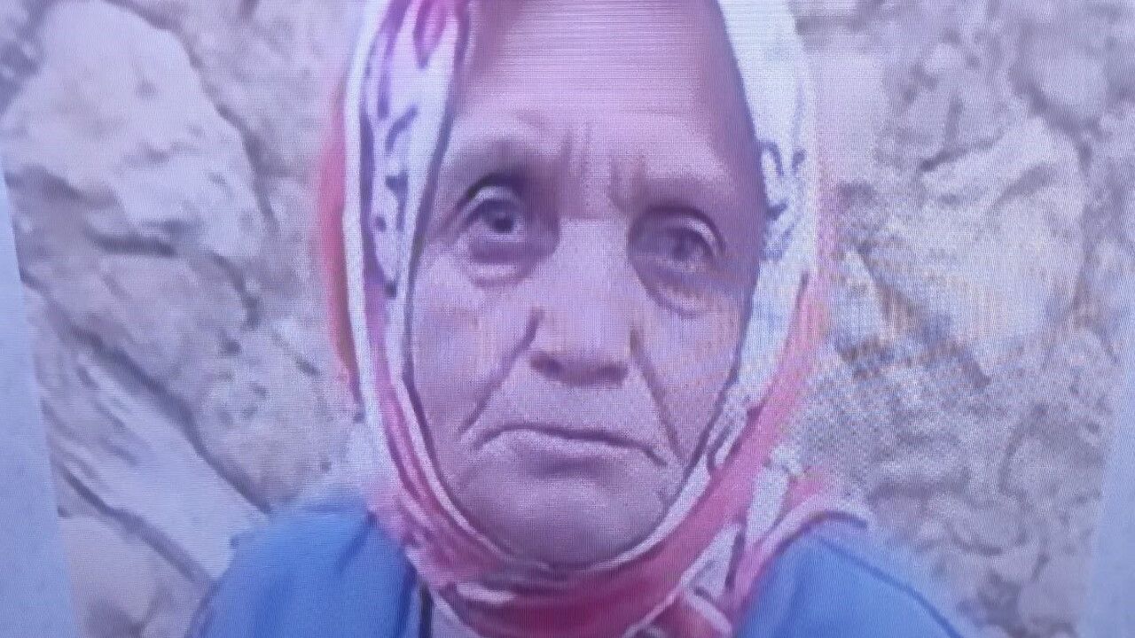 Bayramören'de mantar toplamak için kaybolan 82 yaşındaki Behiye Yavuz için arama sürüyor