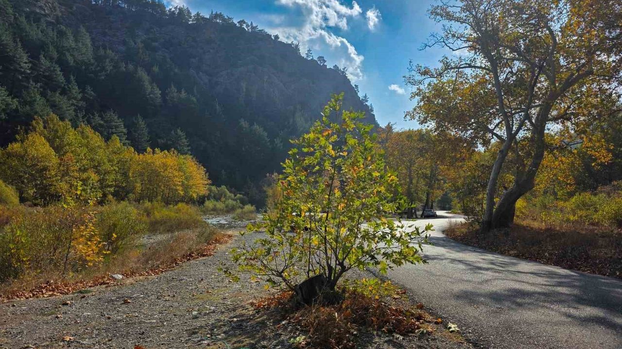 Belemedik Tabiat Parkı sonbaharda renk cümbüşü yaşadı