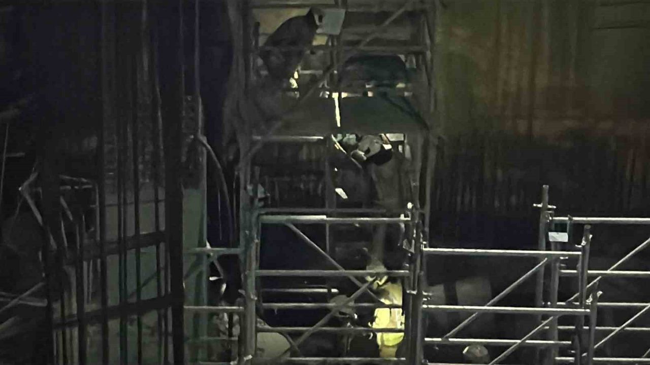 Beyoğlu’nda M7 Metro inşaatında iskele çökmesi — 2 işçi kurtarıldı