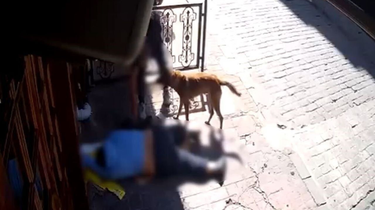 Beyoğlu’nda sara nöbeti sonrası eşyaları çalınan adama hırsızlık şoku: 2 tutuklama