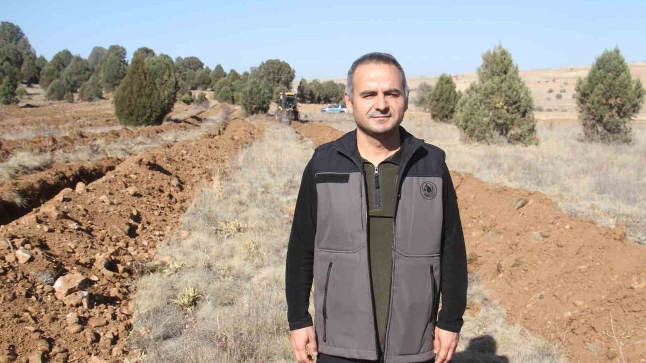 Beyşehir’de 11 bin fidan 11 Kasım’da Avdancık Mahallesi’nde toprakla buluşacak