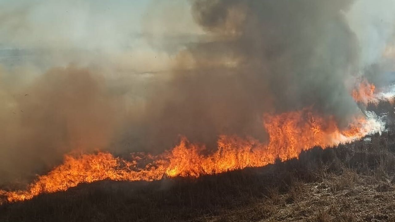 Beyşehir'de İki Ayrı Sazlıkta Yangın