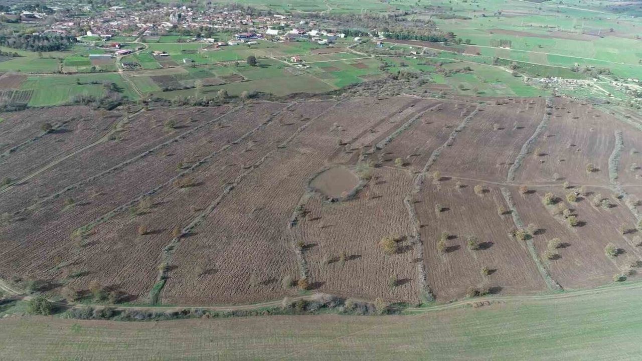 Biga'da 2 yılda 845 dekar mera ıslahı