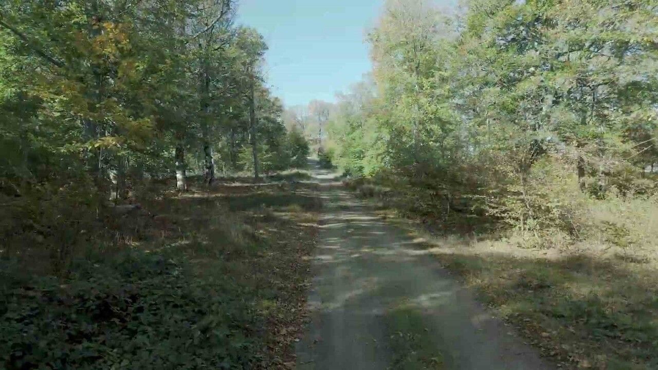 Biga'nın Ormanları Sonbahar Renkleriyle Havadan Görüntülendi