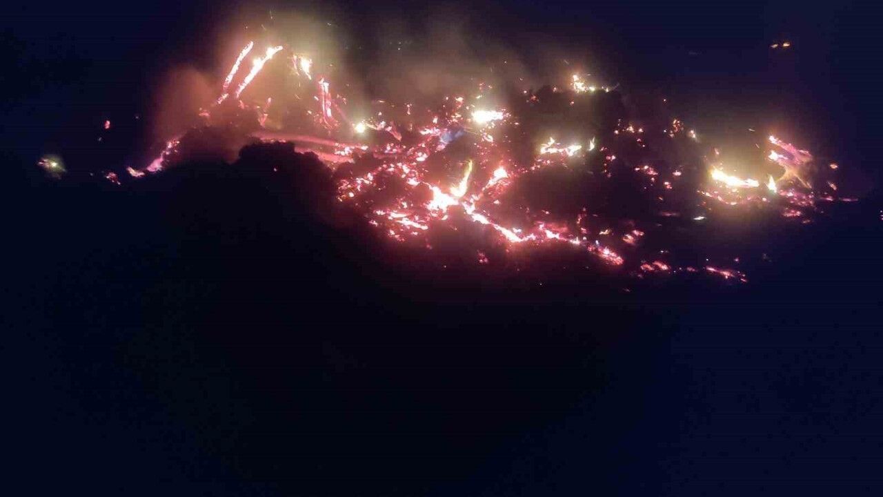 Bilecik'te kontrollü yakılan çürük ağaçlar rüzgarla yayıldı, müdahale edildi