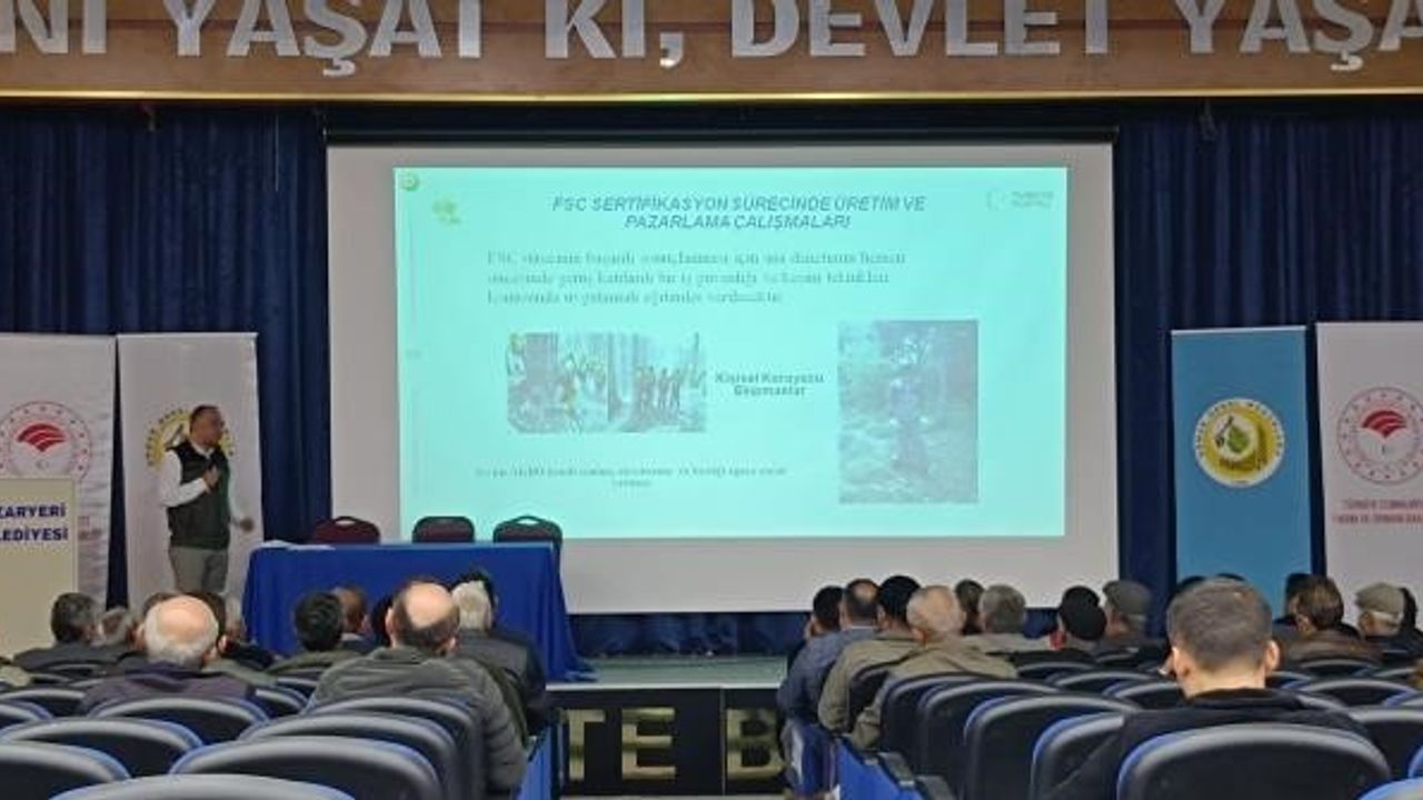 Bilecik’te ormanlar FSC eğitimiyle sertifikalandırma yolunda
