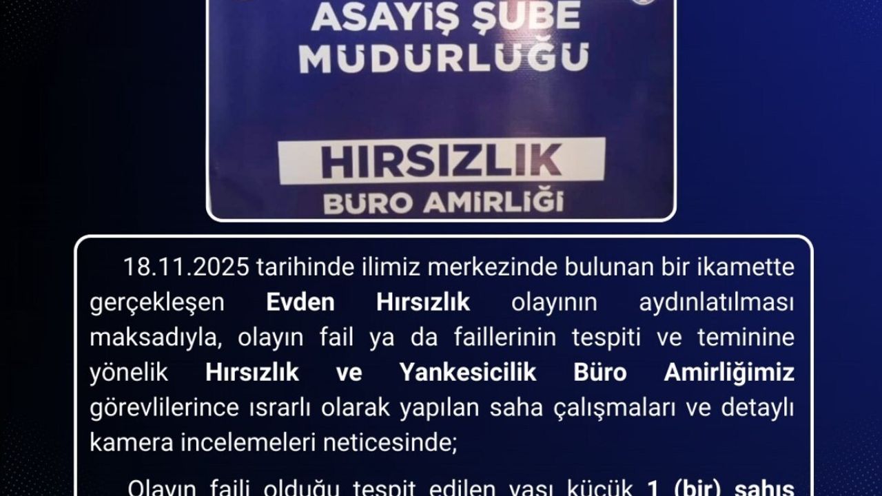 Bingöl'de evden hırsızlık zanlısı tutuklandı