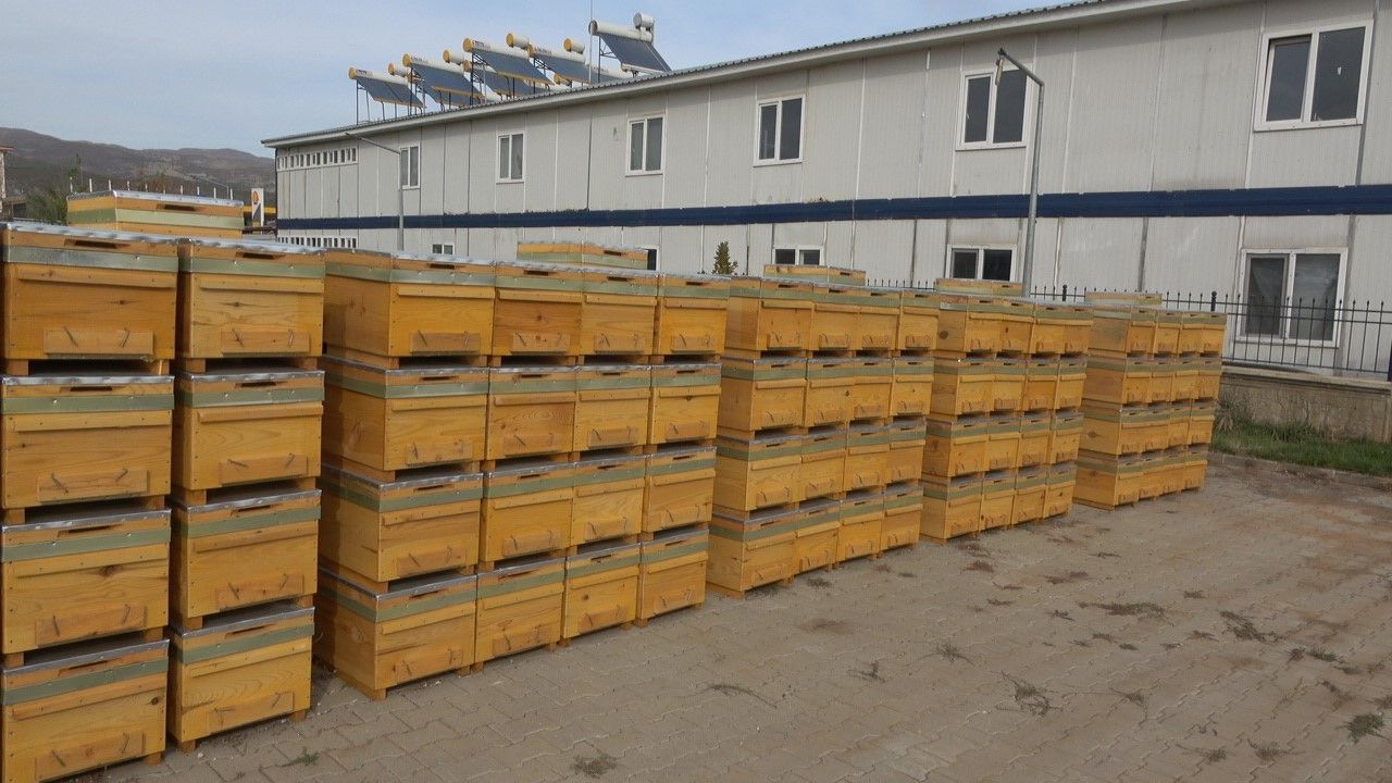 Bingöl'de Organik Bal Üretimi Artıyor