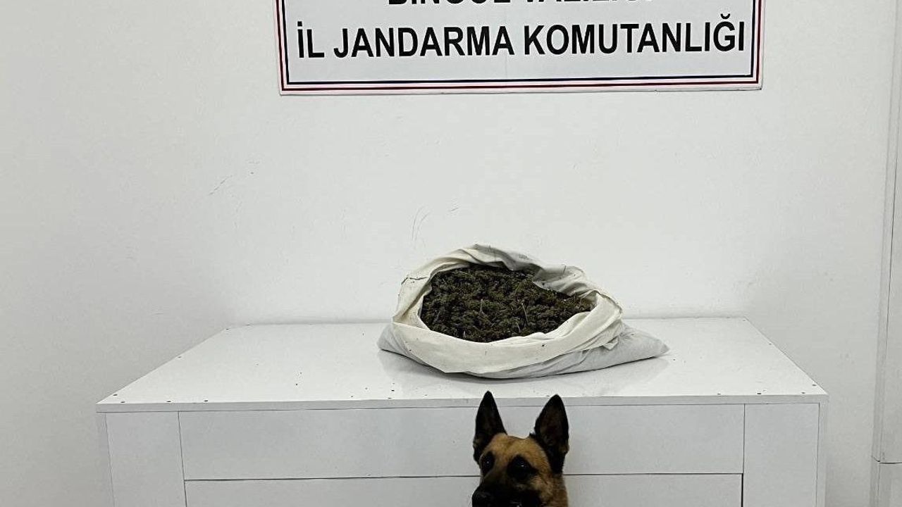 Bingöl'de Uyuşturucu Operasyonu: 2 Kilo Kubar Esrar Ele Geçirildi
