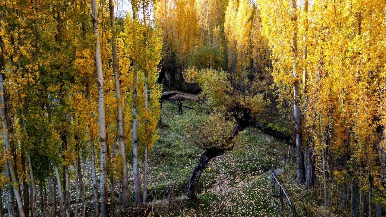 Bitlis'te Sonbaharın Kartpostallık Renkleri
