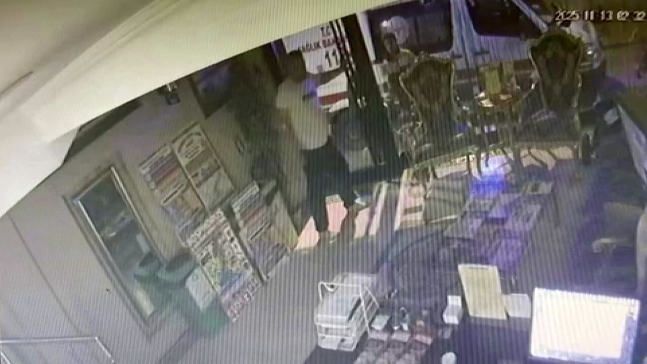 Böcek Ailesinin Ölümüne Dair Yeni Görüntüler Ortaya Çıktı