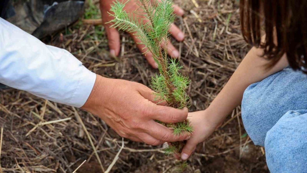 Bodrum’da Çocuklarla Fidan Dikimi Etkinlikleri