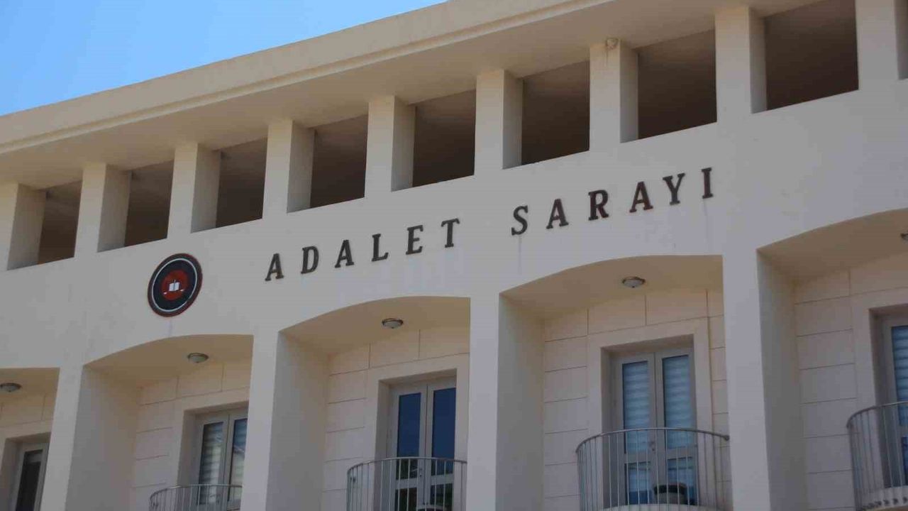 Bodrum'da yavru köpeklere tüfekle saldıran şüpheli tutuklandı