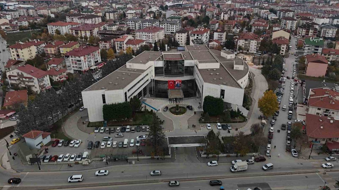 Bolu'da 'Deli Dana' Uyarısı: Veterinerden Önemli İkaz