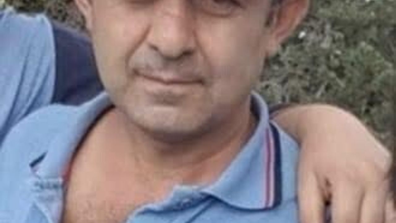 Bolu'da kestiği ağacın altında kalan Seyid Ahmet Özay yaşamını yitirdi