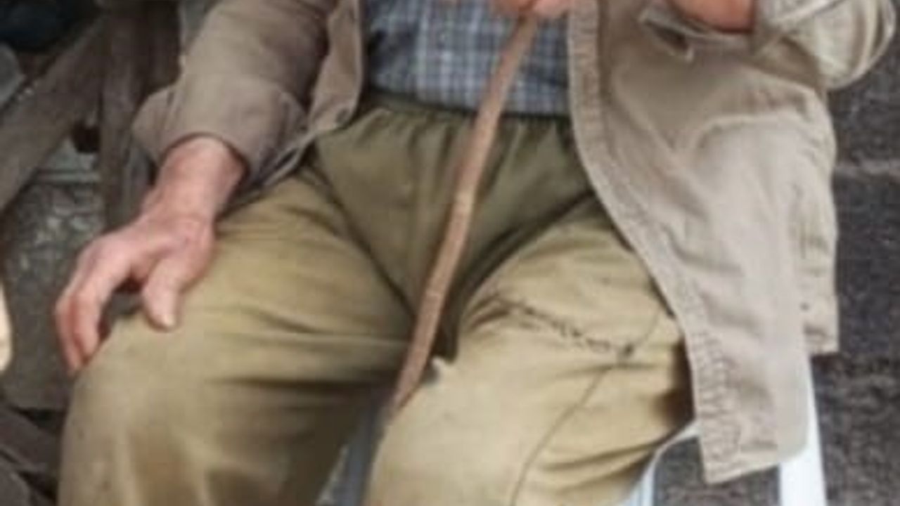 Bolu'da mantar toplamaya giden 88 yaşındaki Orhan Demir kayıp