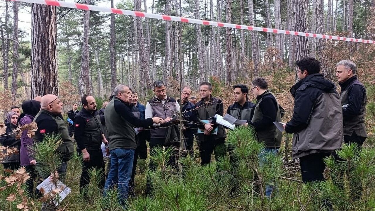 Bolu’da silvikültürel tatbikatla orman sağlığı güçlendiriliyor