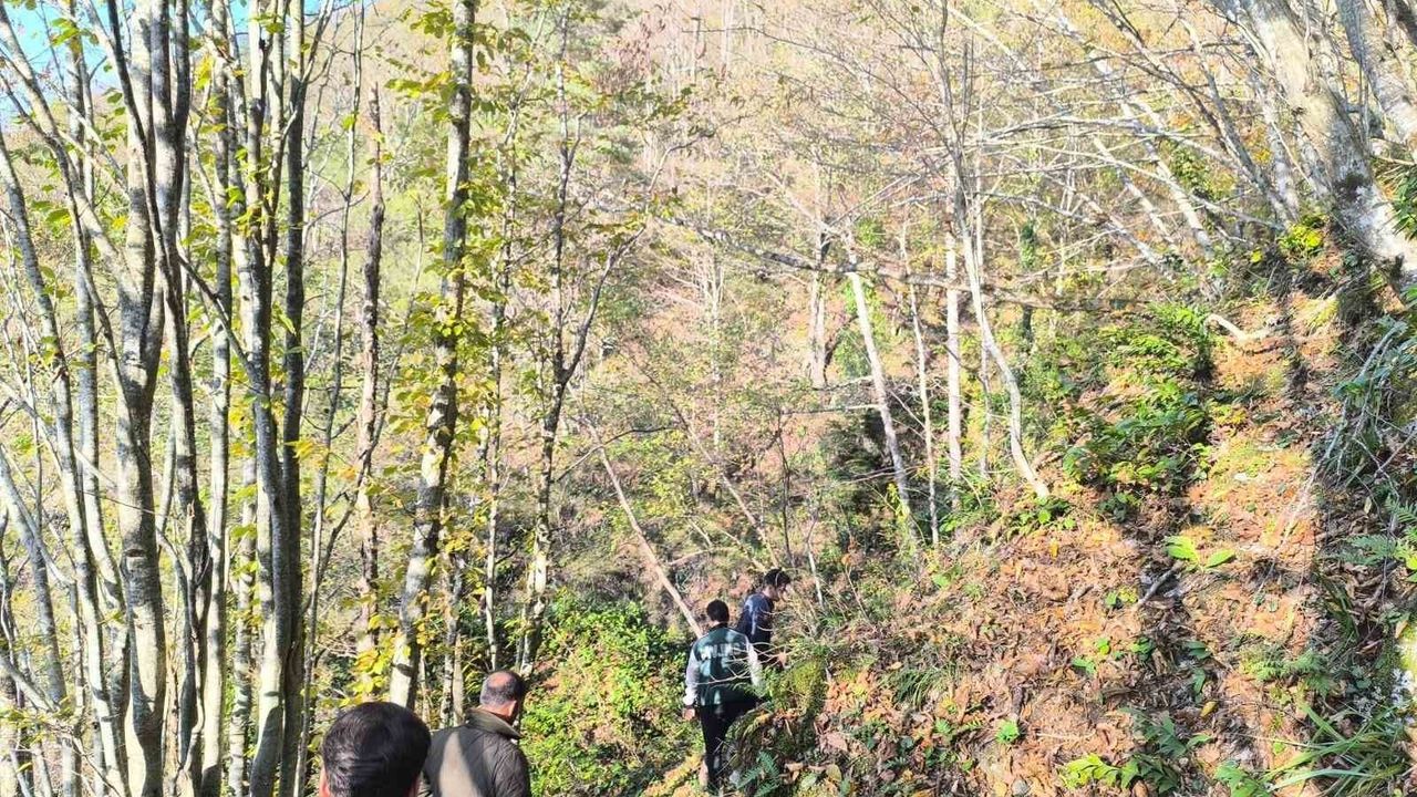 Bozkurt'ta 9 gündür aranan anne ve oğlu ölü bulundu