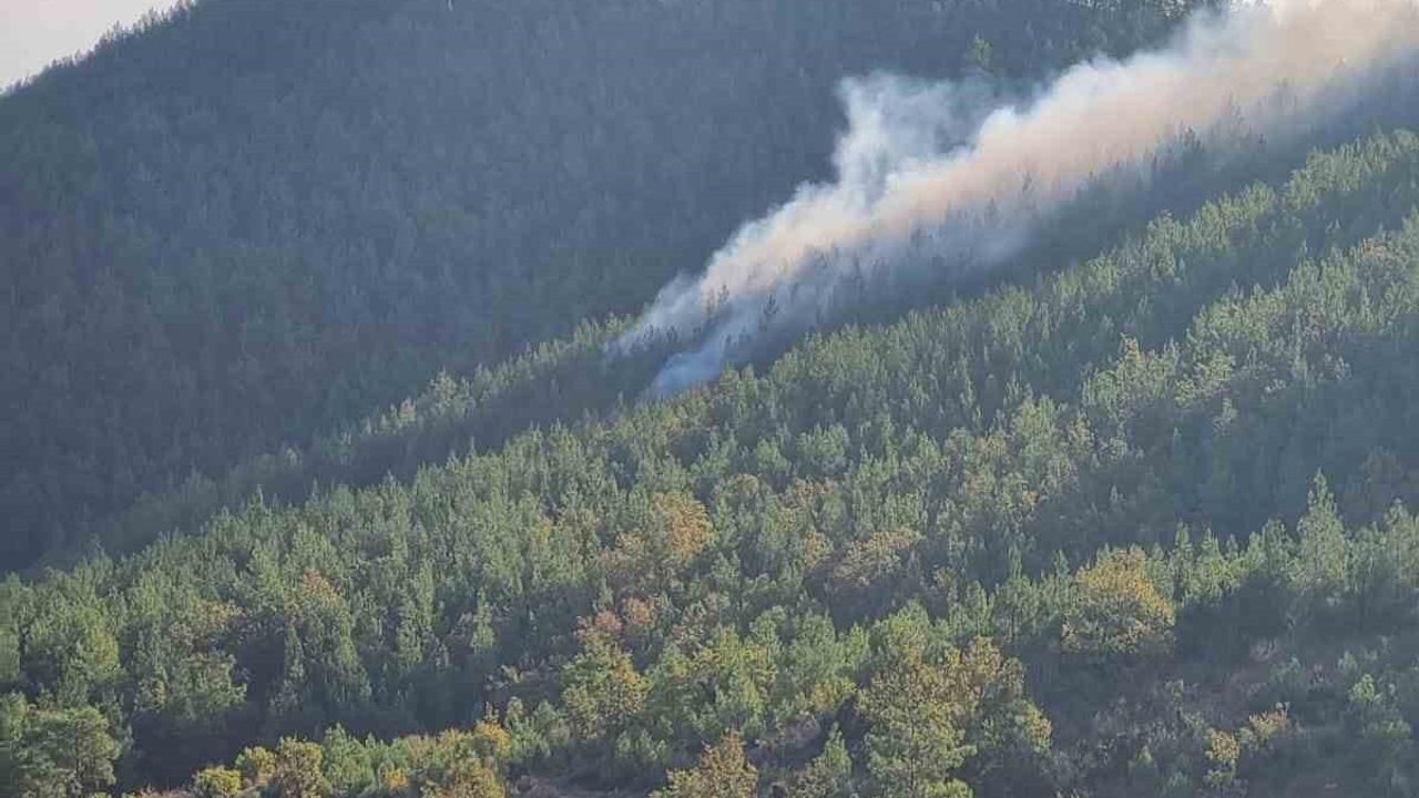 Bozyazı'da orman yangını kontrol altına alındı