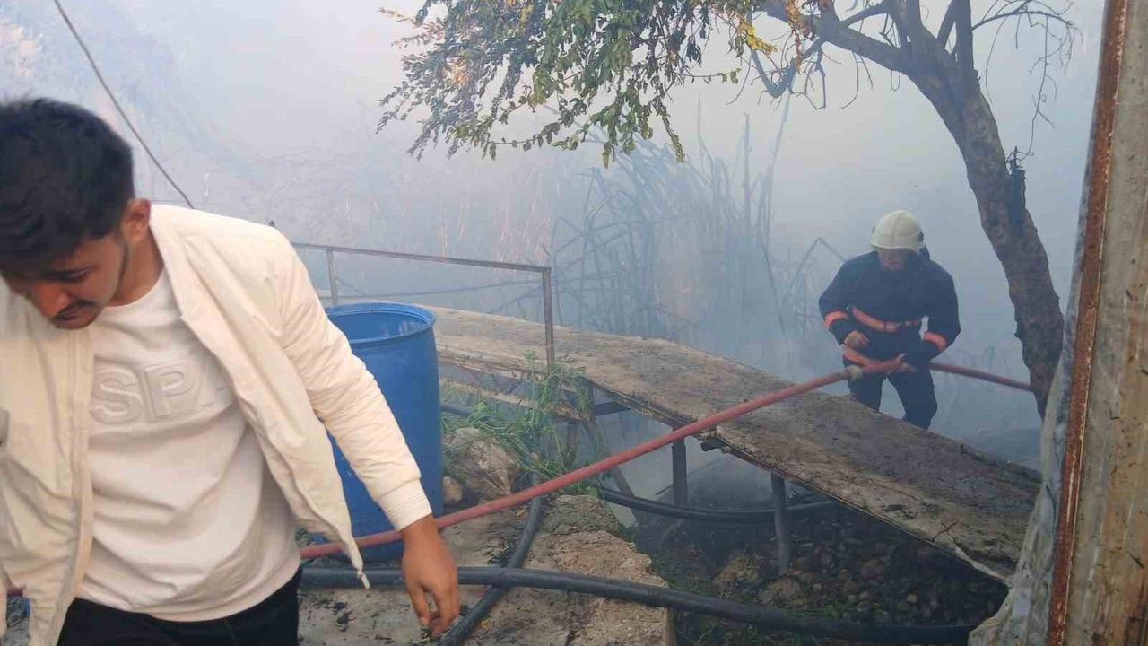 Bozyazı'da sabah yangını seralara zarar verdi