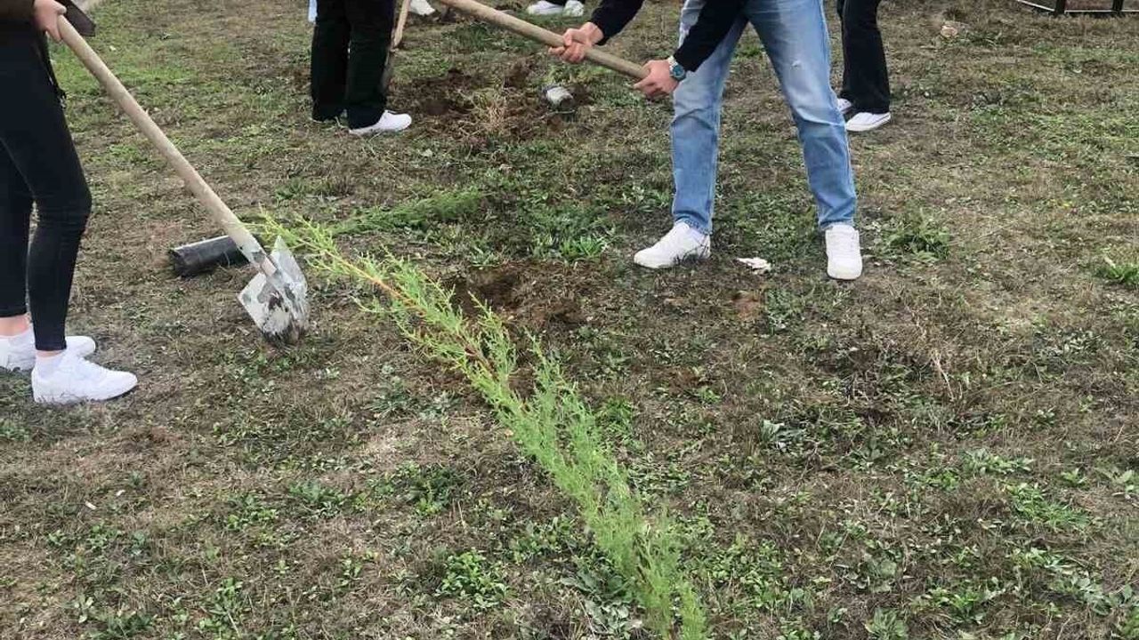 BŞEÜ Söğüt MYO'da Fidan Dikimiyle Çevre Bilinci Güçlendi