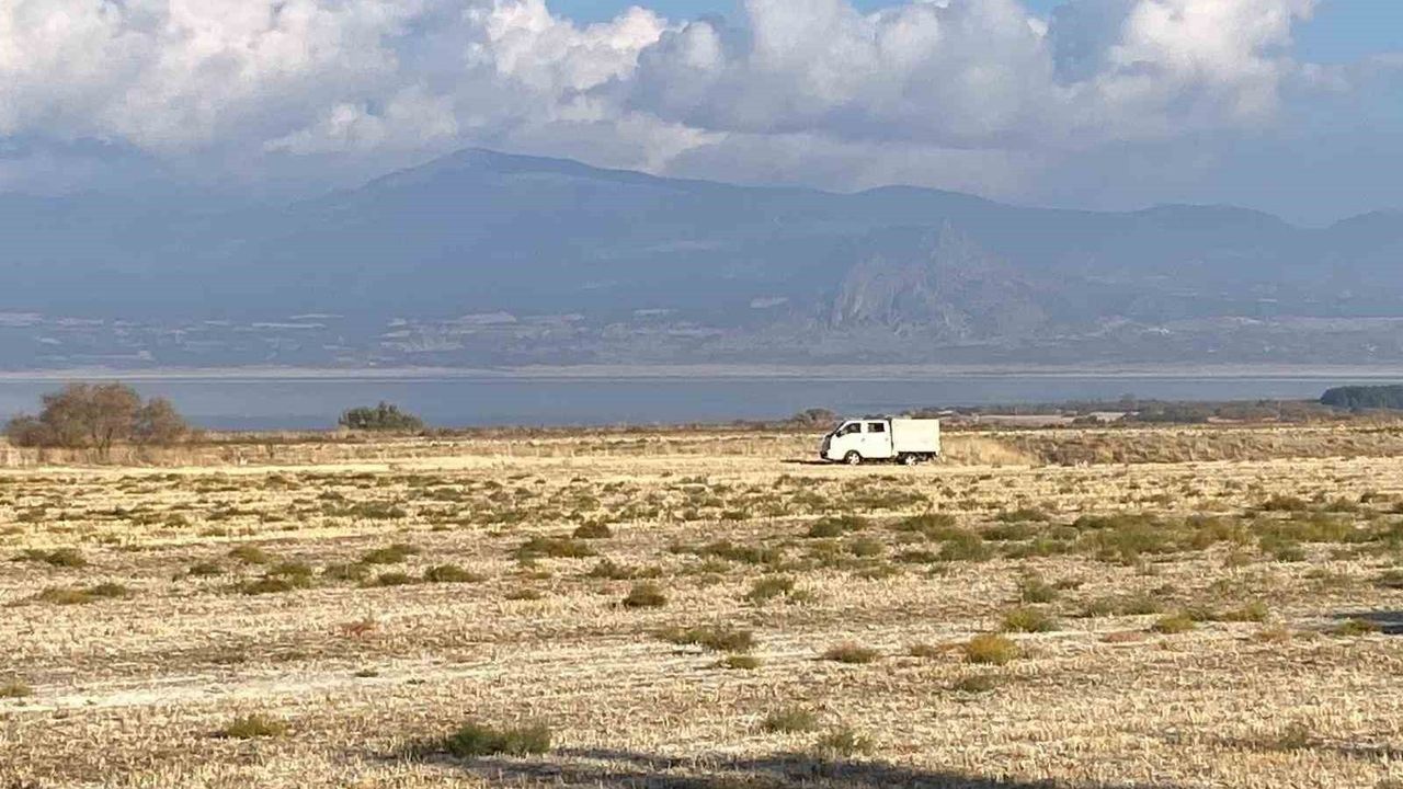 Burdur'da 13 yaşındaki kıza sokak köpekleri saldırdı