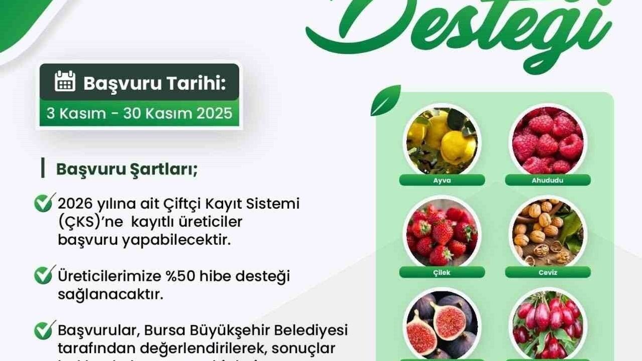 Bursa Büyükşehir'den 9 üründe yüzde 50 fide ve fidan desteği — Başvurular 30 Kasım'da sona eriyor