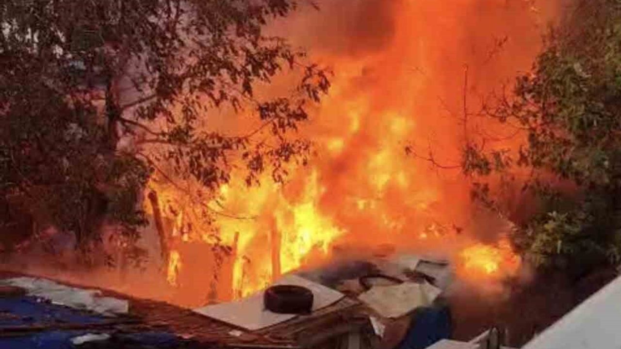 Bursa’da bahçe yangını ağaçlara sıçradı, itfaiye söndürdü